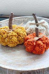The Knobby Pumpkin (Crochet)